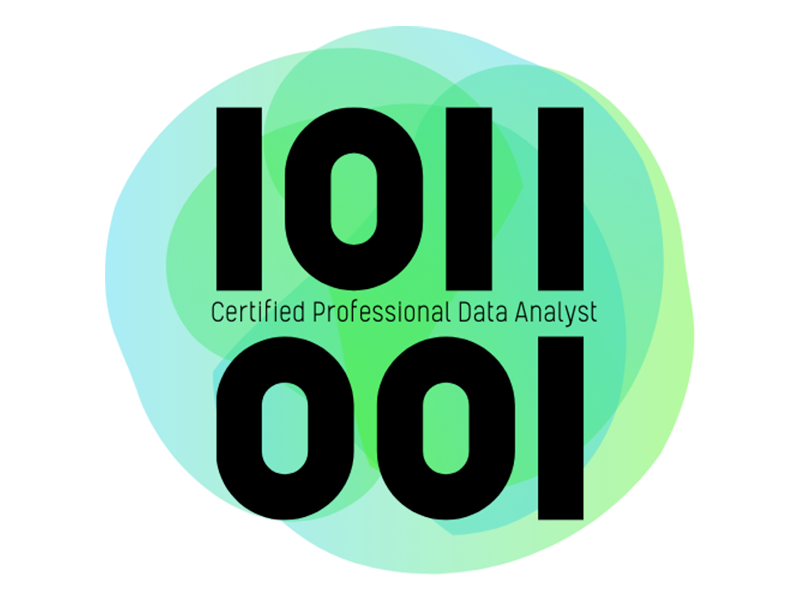 Professional Data Analyst By DataRockie